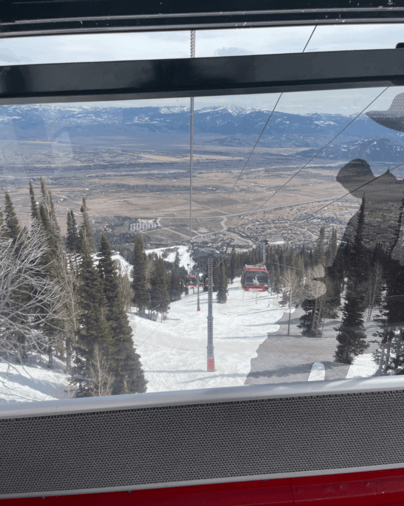 Gondola at Jackson Hole Mountain Resort